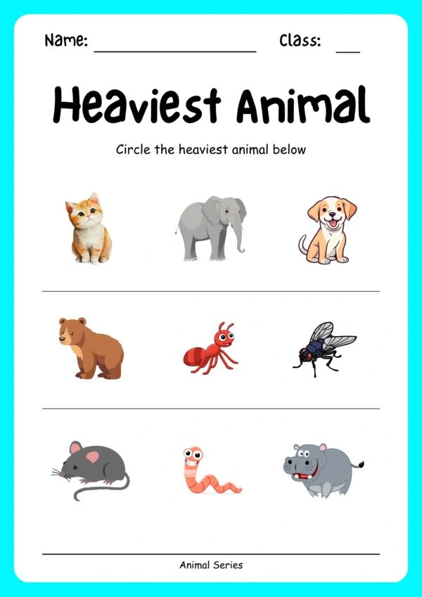 Animal Series - Image 2